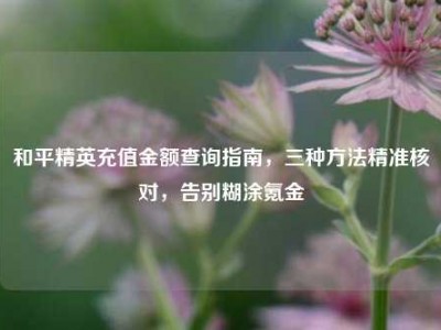和平精英充值金额查询指南，三种方法精准核对，告别糊涂氪金