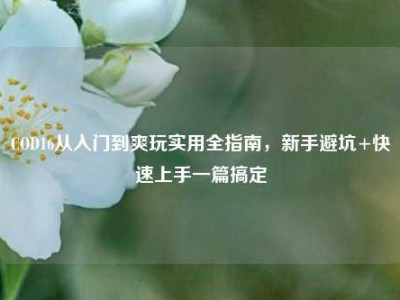 COD16从入门到爽玩实用全指南，新手避坑+快速上手一篇搞定