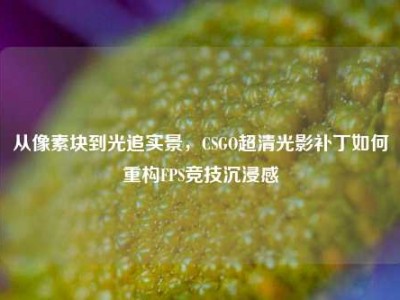 从像素块到光追实景，CSGO超清光影补丁如何重构FPS竞技沉浸感