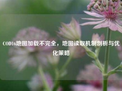 COD16地图加载不完全，地图读取机制剖析与优化策略