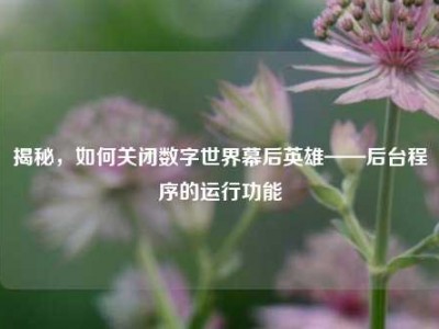 揭秘，如何关闭数字世界幕后英雄——后台程序的运行功能