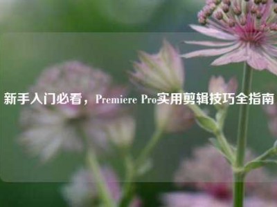 新手入门必看，Premiere Pro实用剪辑技巧全指南