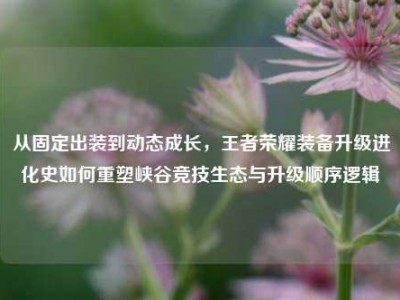 从固定出装到动态成长，王者荣耀装备升级进化史如何重塑峡谷竞技生态与升级顺序逻辑