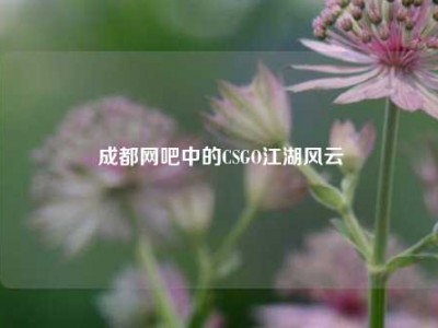 成都网吧中的CSGO江湖风云