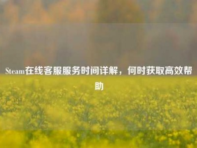 Steam在线客服服务时间详解，何时获取高效帮助