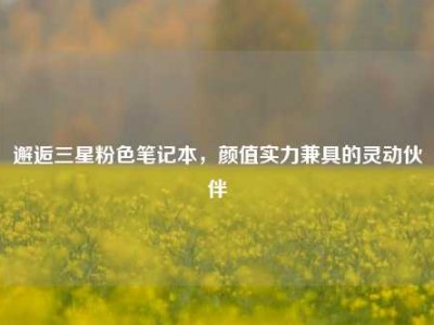 邂逅三星粉色笔记本，颜值实力兼具的灵动伙伴