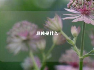 具体是什么
