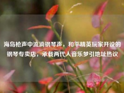 海岛枪声中流淌钢琴声，和平精英玩家开设的钢琴专卖店，承载两代人音乐梦引地址热议