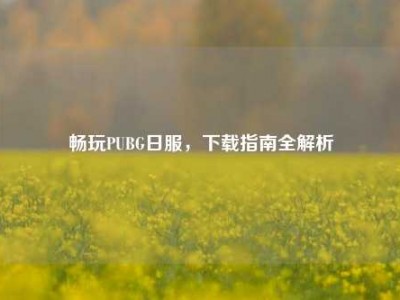 畅玩PUBG日服，下载指南全解析