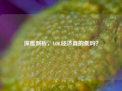深度剖析，LOL经济真的低吗？
