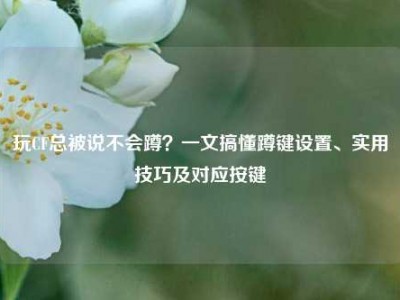 玩CF总被说不会蹲？一文搞懂蹲键设置、实用技巧及对应按键