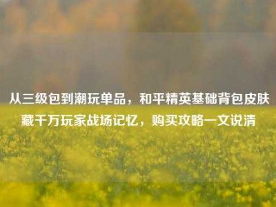 从三级包到潮玩单品，和平精英基础背包皮肤藏千万玩家战场记忆，购买攻略一文说清