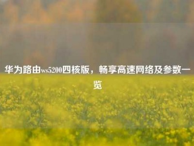 华为路由ws5200四核版，畅享高速网络及参数一览