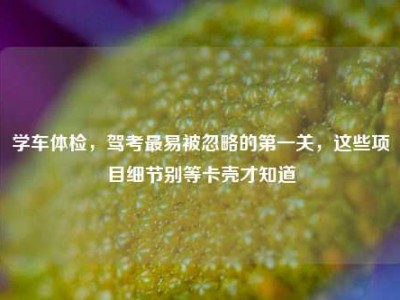 学车体检，驾考最易被忽略的第一关，这些项目细节别等卡壳才知道