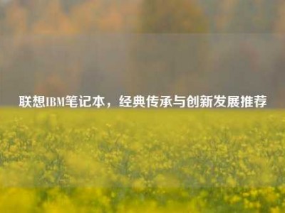 联想IBM笔记本，经典传承与创新发展推荐