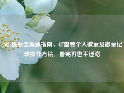 2025最新全渠道指南，CF查看个人徽章及徽章记录操作方法，看完再也不迷路
