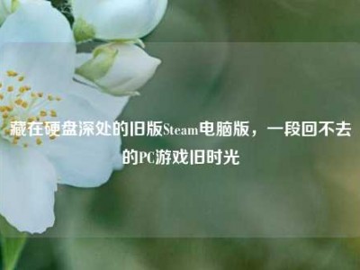 藏在硬盘深处的旧版Steam电脑版，一段回不去的PC游戏旧时光