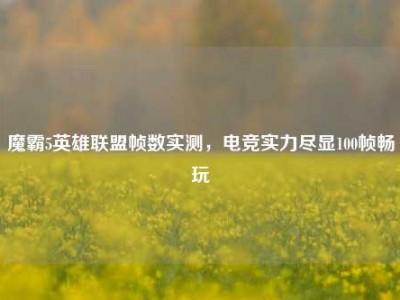 魔霸5英雄联盟帧数实测，电竞实力尽显100帧畅玩