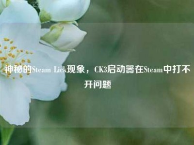 神秘的Steam Lick现象，CK3启动器在Steam中打不开问题