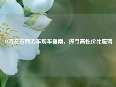 15万左右商务车购车指南，探寻高性价比座驾