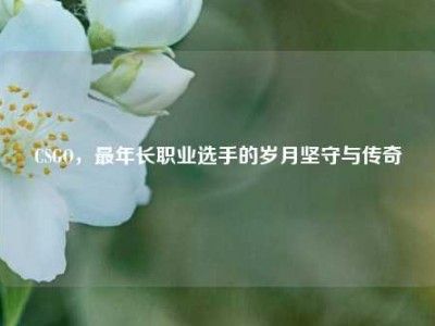 CSGO，最年长职业选手的岁月坚守与传奇