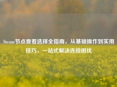 Steam节点查看选择全指南，从基础操作到实用技巧，一站式解决连接困扰