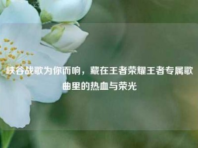 峡谷战歌为你而响，藏在王者荣耀王者专属歌曲里的热血与荣光