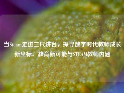 当Steam走进三尺讲台，探寻数字时代教师成长新坐标、教育新可能与STEAM教师内涵