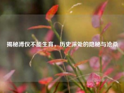 揭秘溥仪不能生育，历史深处的隐秘与沧桑