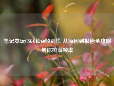 笔记本玩CSGO锁60帧别慌 从原因到根治全攻略帮你拉满帧率