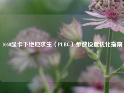 1060显卡下绝地求生（PUBG）参数设置优化指南