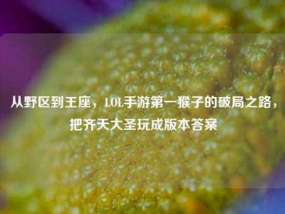 从野区到王座，LOL手游第一猴子的破局之路，把齐天大圣玩成版本答案