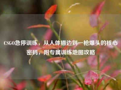 CSGO急停训练，从人体描边到一枪爆头的核心密码，附专属训练地图攻略