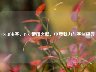 CSGO决赛，FaZe荣耀之路、电竞魅力与赛制探寻