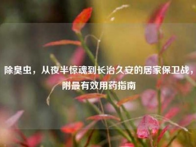 除臭虫，从夜半惊魂到长治久安的居家保卫战，附最有效用药指南