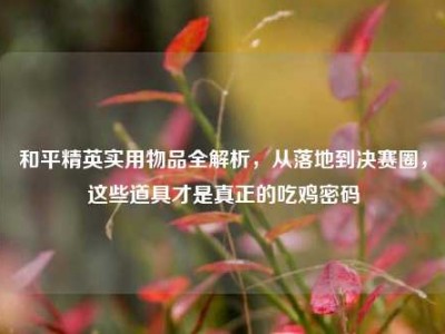 和平精英实用物品全解析，从落地到决赛圈，这些道具才是真正的吃鸡密码