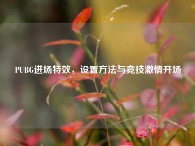 PUBG进场特效，设置方法与竞技激情开场