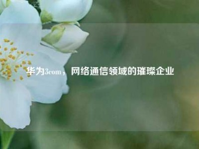 华为3com，网络通信领域的璀璨企业