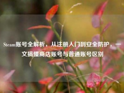 Steam账号全解析，从注册入门到安全防护，一文搞懂商店账号与普通账号区别