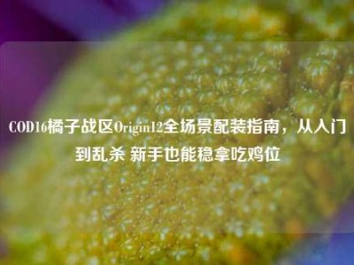 COD16橘子战区Origin12全场景配装指南，从入门到乱杀 新手也能稳拿吃鸡位