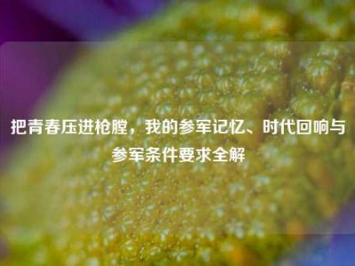 把青春压进枪膛，我的参军记忆、时代回响与参军条件要求全解