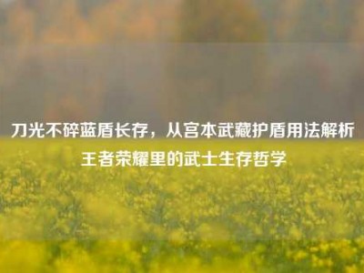 刀光不碎蓝盾长存，从宫本武藏护盾用法解析王者荣耀里的武士生存哲学