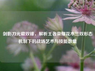剑影刀光藏双锋，解析王者荣耀花木兰双形态机制下的战场艺术与技能数量