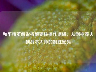 和平精英解说拆解硬核操作逻辑，从刚枪莽夫到战术大师的制胜密码
