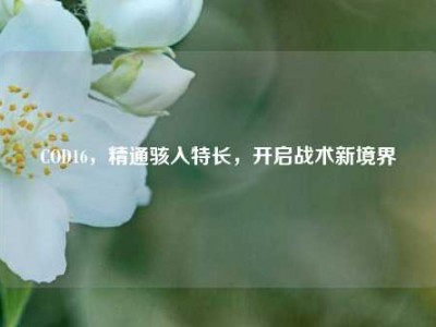 COD16，精通骇入特长，开启战术新境界