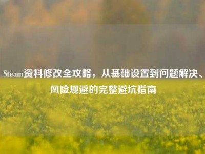 Steam资料修改全攻略，从基础设置到问题解决、风险规避的完整避坑指南