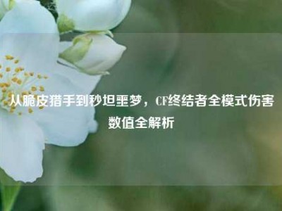 从脆皮猎手到秒坦噩梦，CF终结者全模式伤害数值全解析