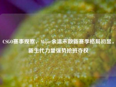 CSGO赛事观察，Major余温未散新赛季格局初显，新生代力量强势抢班夺权