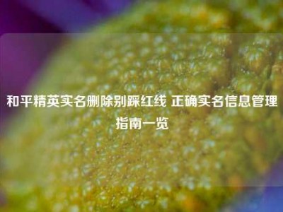 和平精英实名删除别踩红线 正确实名信息管理指南一览