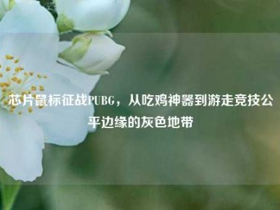 芯片鼠标征战PUBG，从吃鸡神器到游走竞技公平边缘的灰色地带